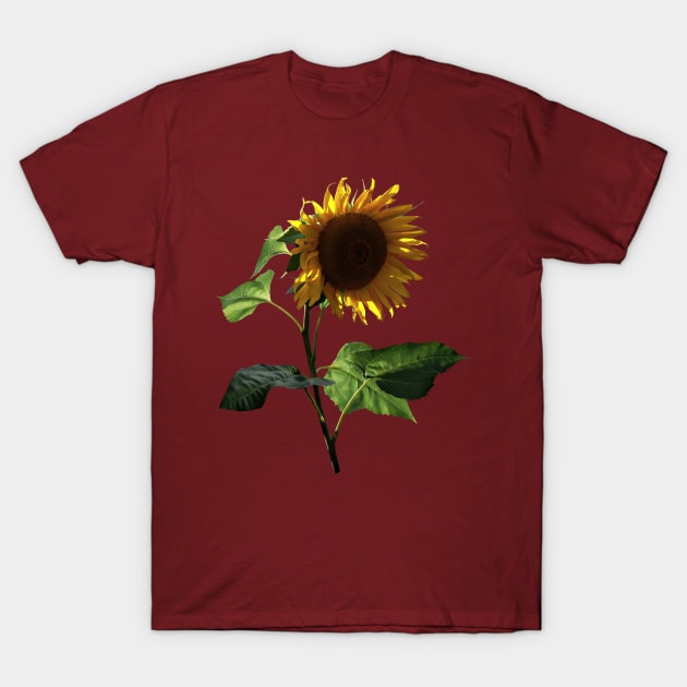 Sunflower Looking Down T-Shirt by SusanSavad